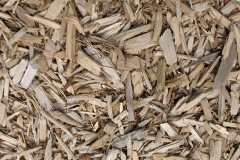 biomass boilers Higher Folds